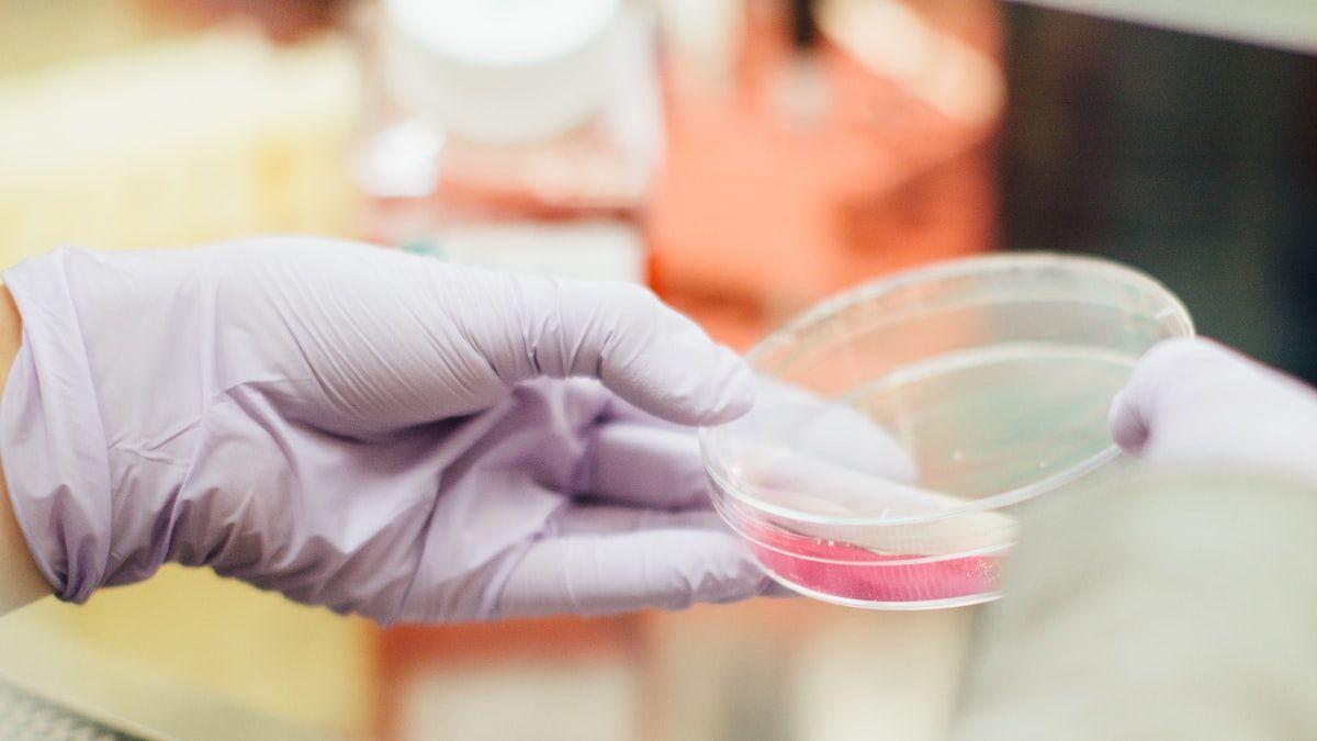 Nanomaterials Virtual Pitch Competition Winners