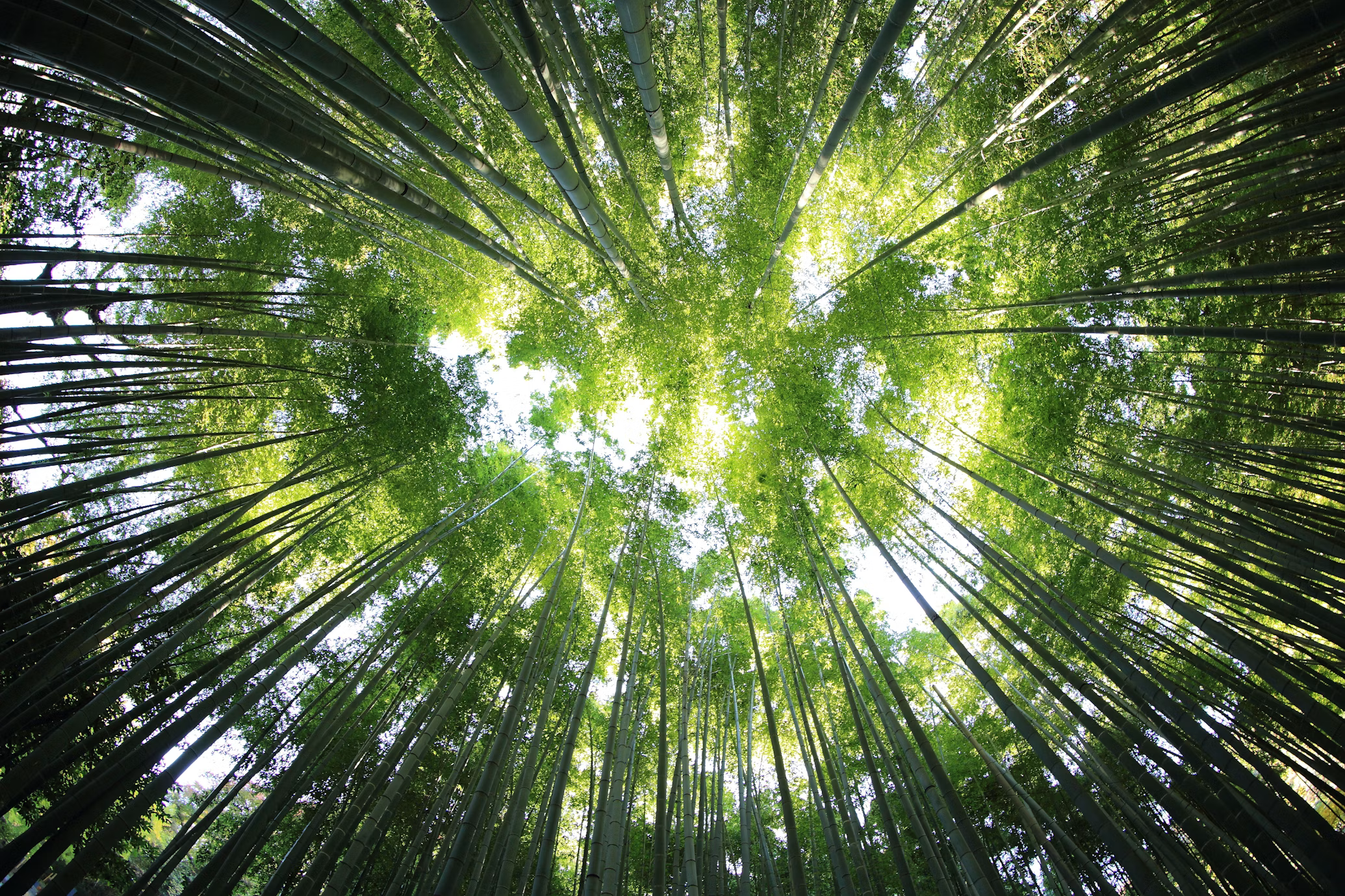 These Nine Startups are Helping Build Canada’s Climate Resilience